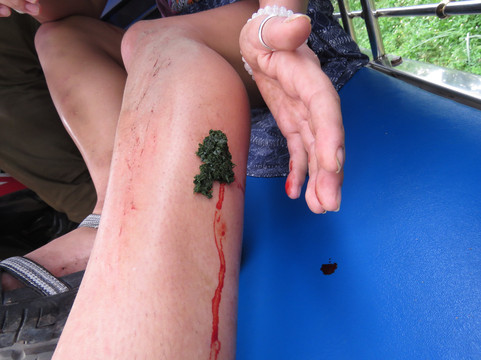 Herb Walk Laos-琅勃拉邦必去景点