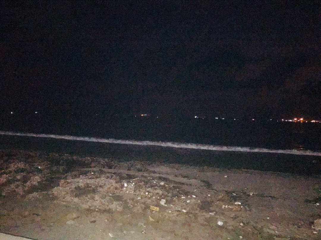 Porbandar Beach景点图片