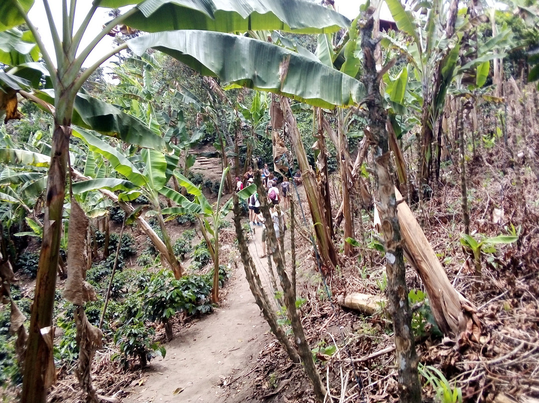 Tayrona Tour-位于塔甘加必去景点