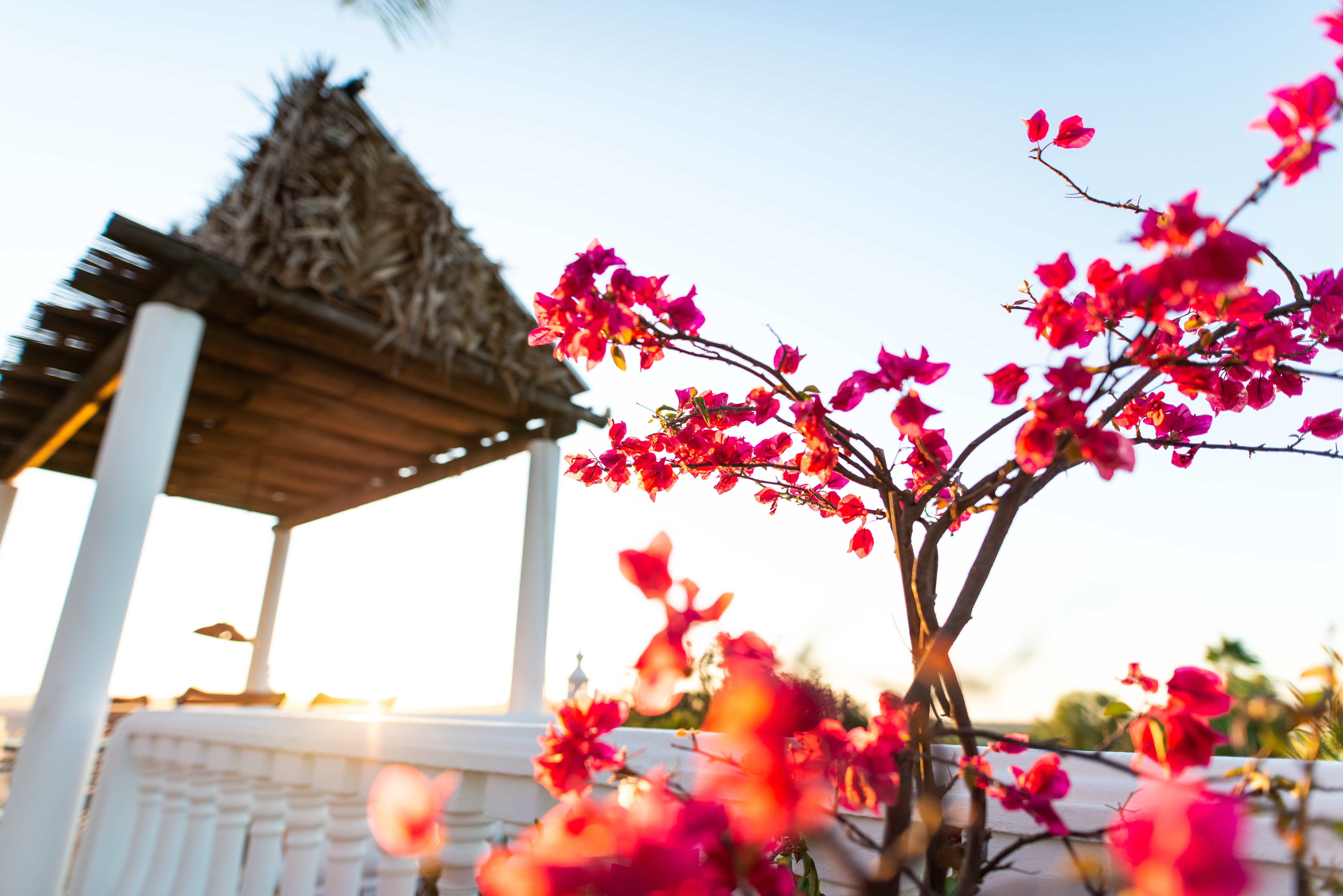 Vila do Ouro-泳池