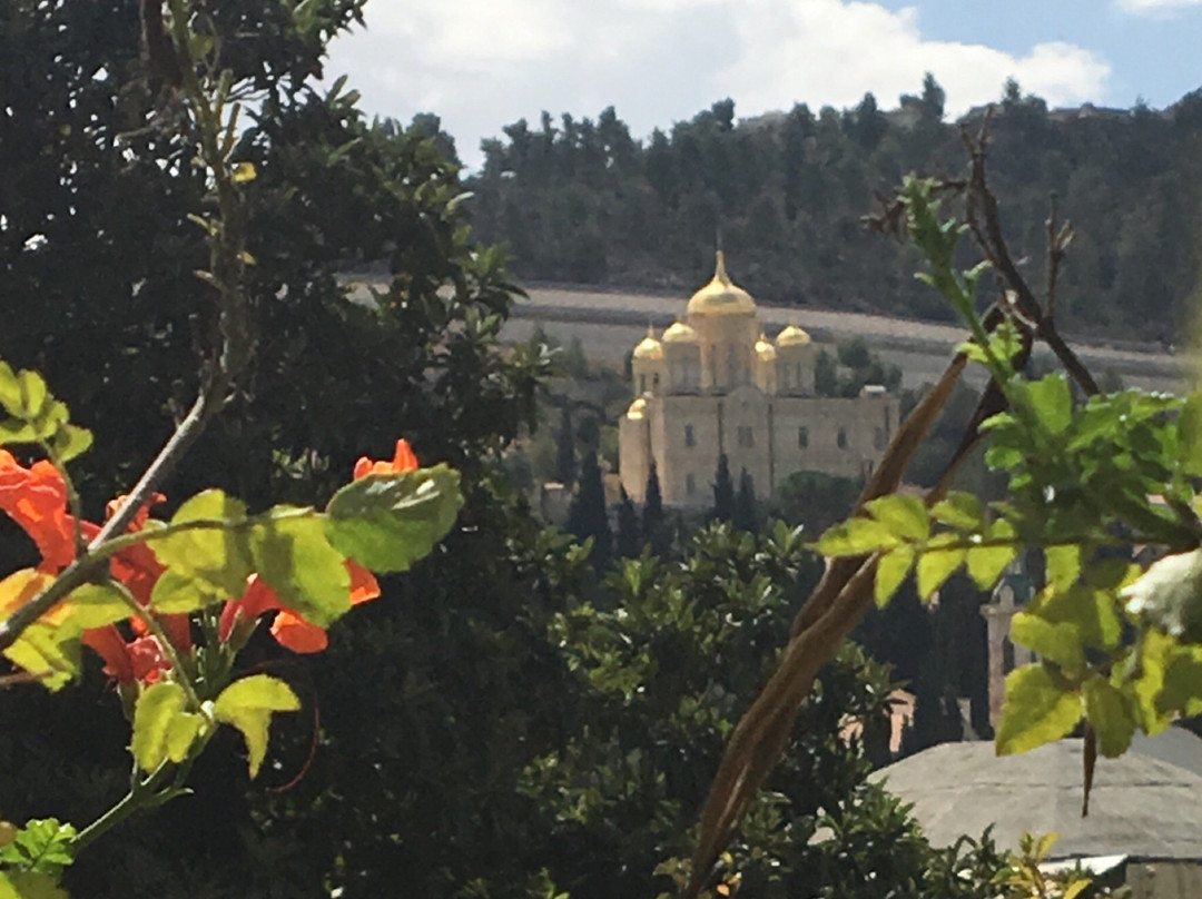 Ein Kerem景点图片