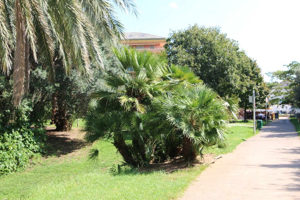Jardins de l’Annonciade-Bastia必去景点