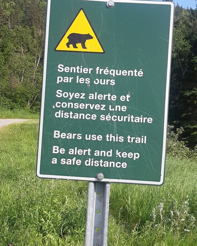 Gite Haut Phare主图