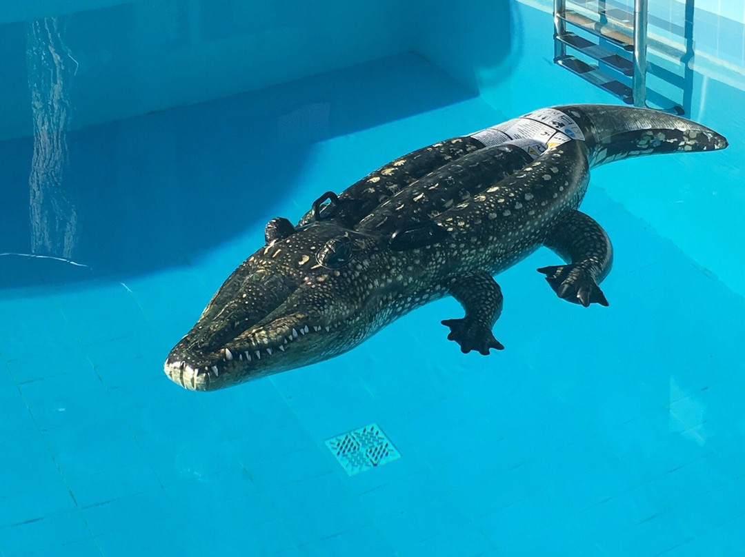 Ledra Samos Hotel主图