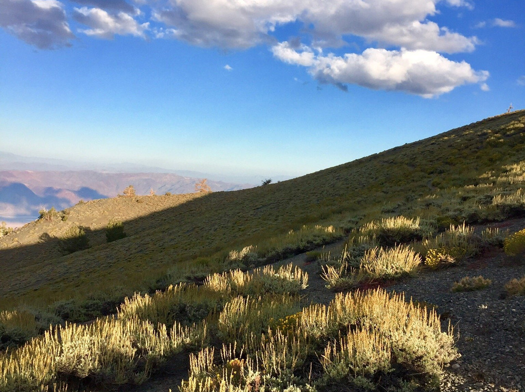 Telescope Peak trail-死亡谷国家公园必去景点