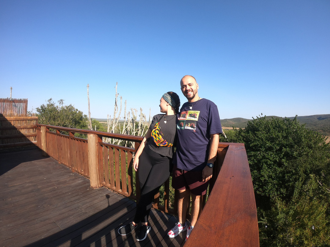 Addo Afrique Estate主图