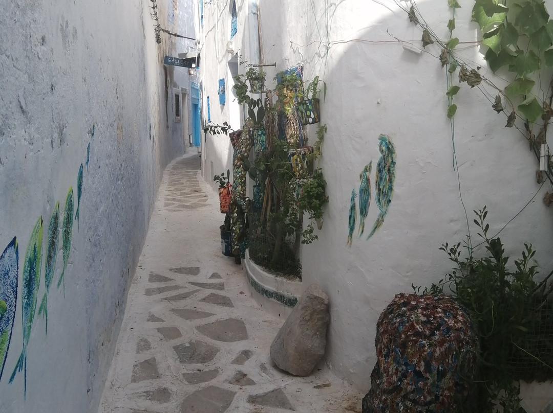 Medina of Yasmine Hammamet-哈玛麦德必去景点