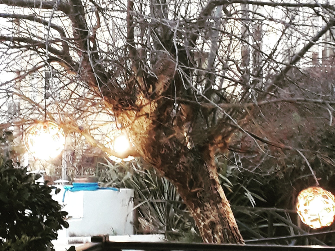 Victoria Village主图