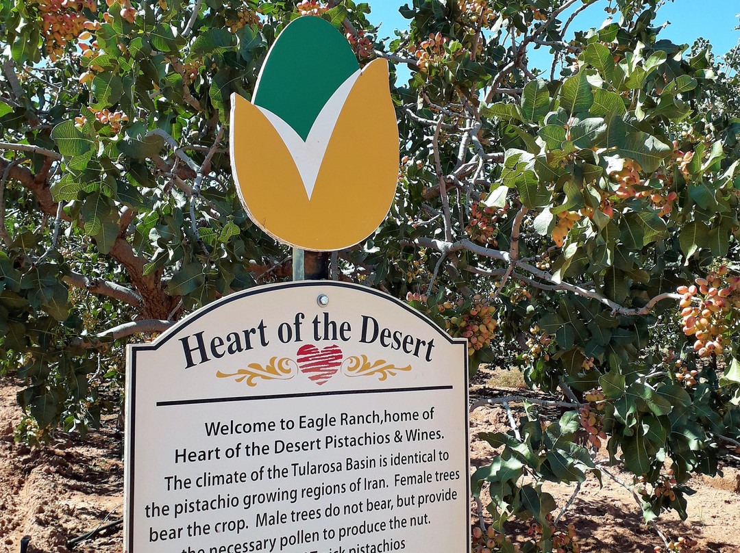 Heart of the Desert Pistachios & Wine-Mesilla必去景点