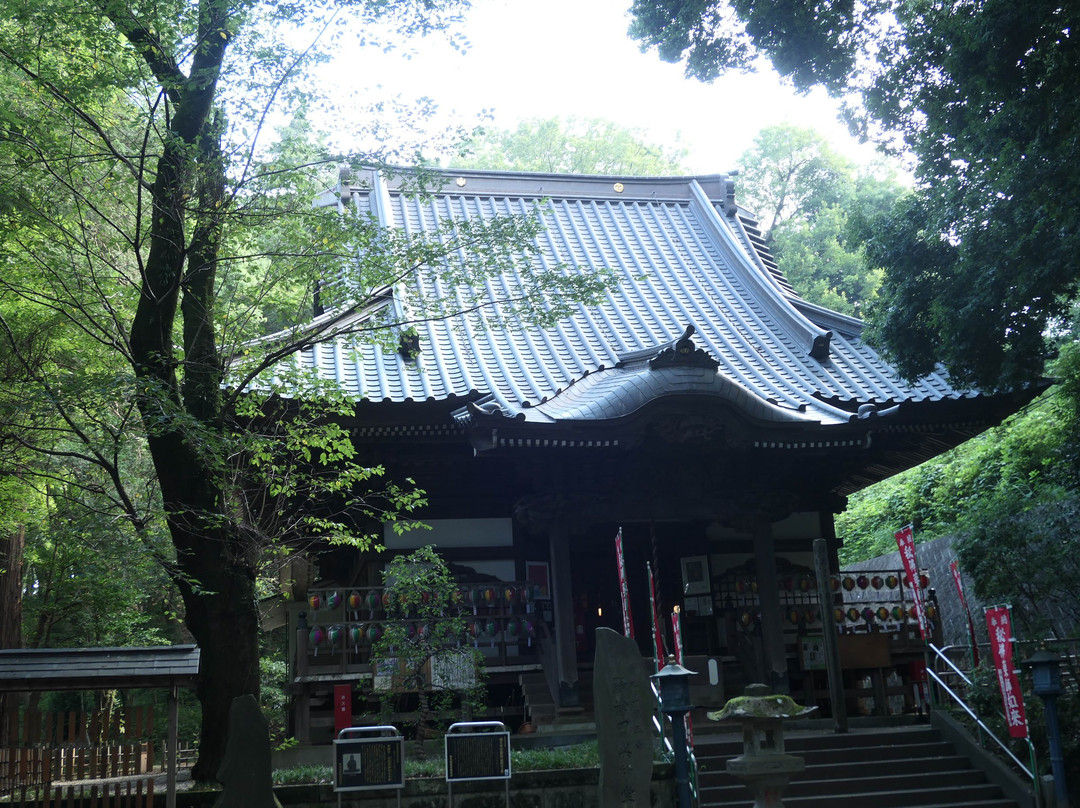 Notsuda Yakushido-町田市必去景点