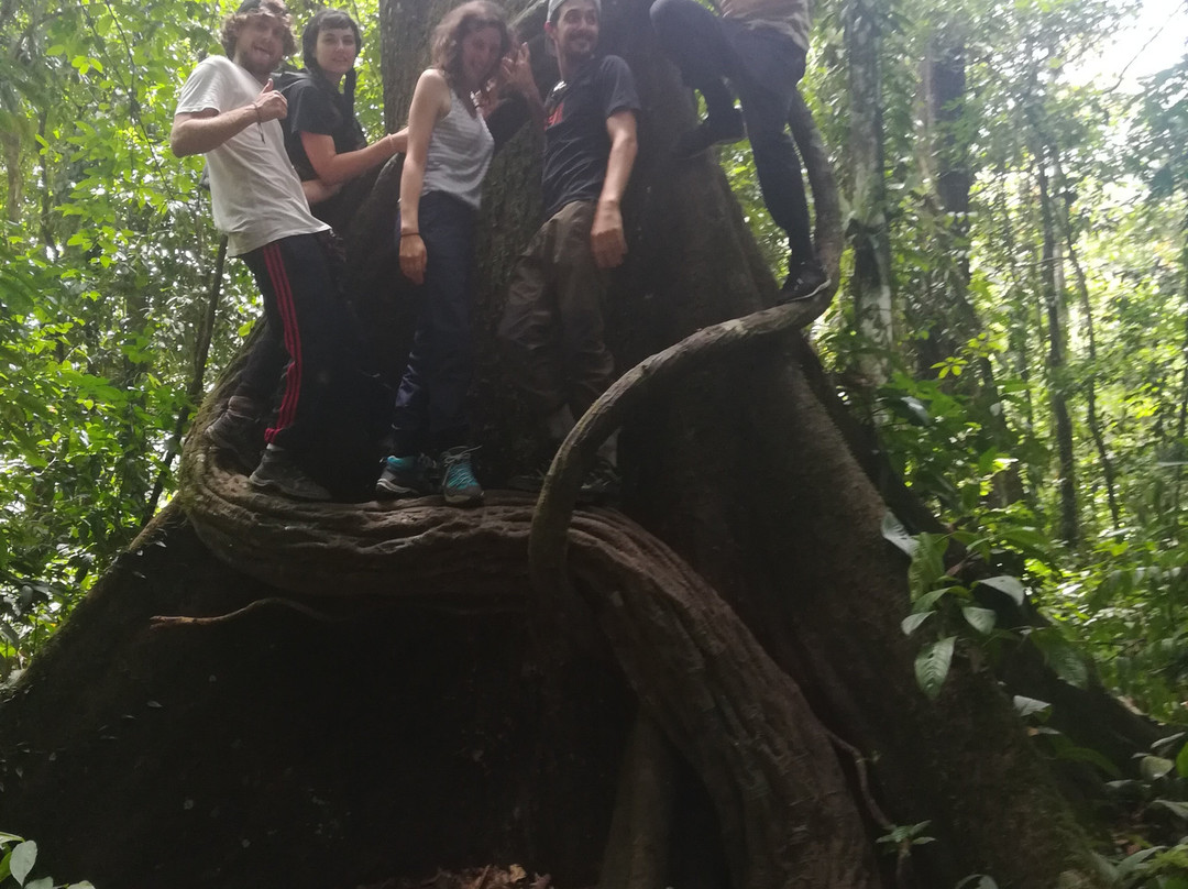 Jack Jungle Trip-Ketambe必去景点