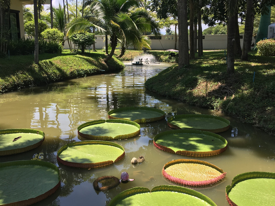 地平线乡村度假村主图