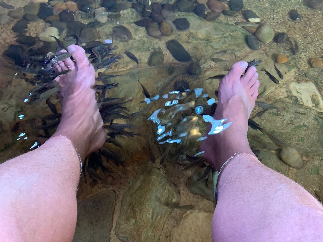 Orang Utan Island-新芒魏必去景点