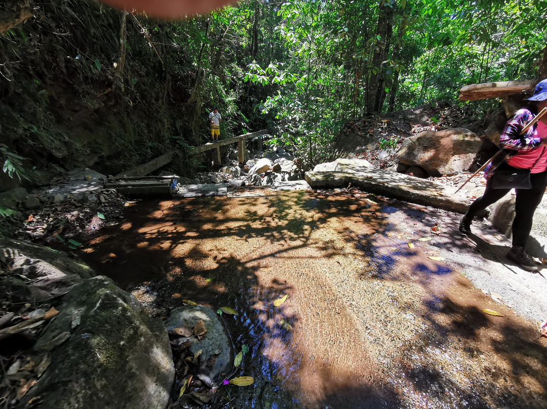 Paque Nacional Farallones de Cali-卡利必去景点