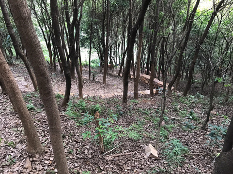 东山景区-苏州市必去景点