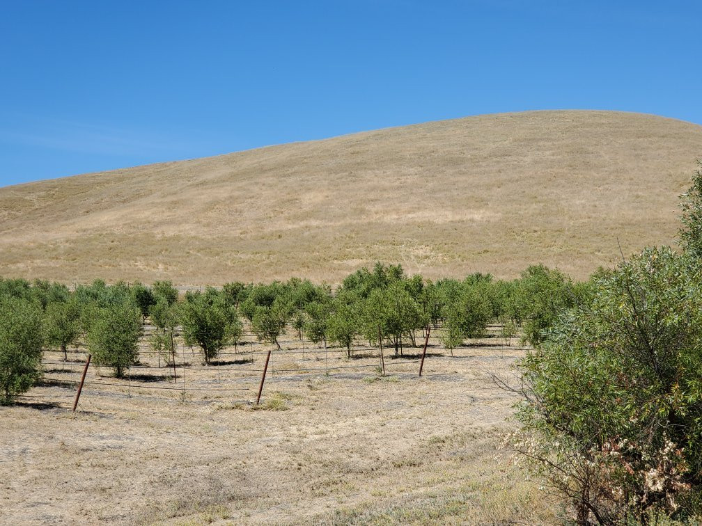 The Groves on 41景点图片