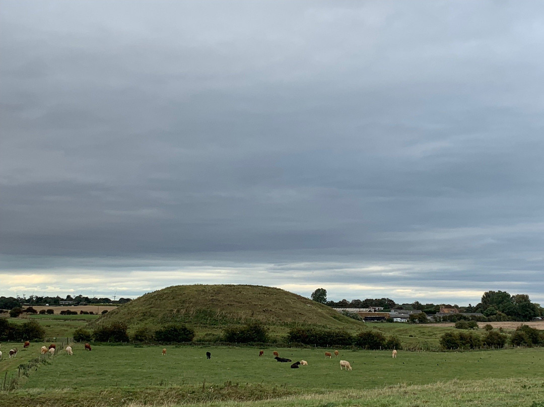 Skipsea Castle景点图片