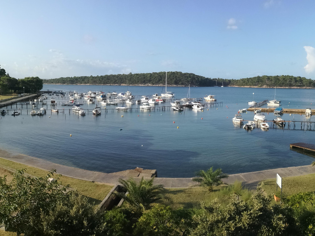 Pansion Tamaris主图