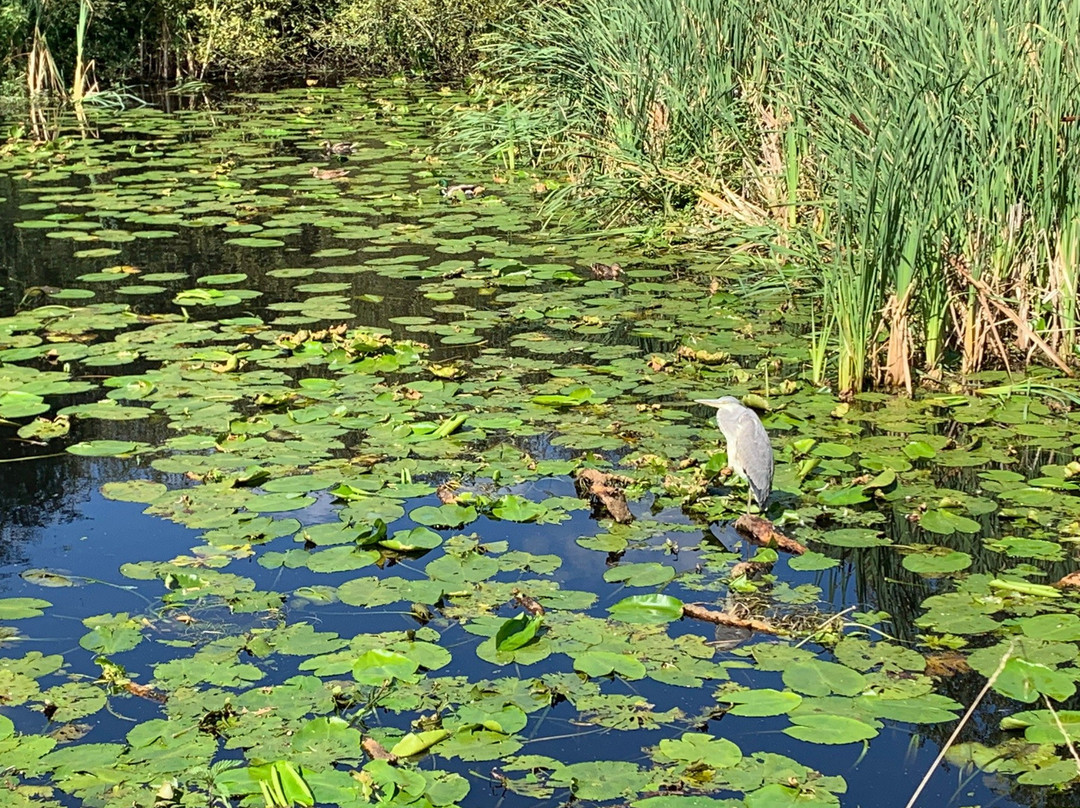 Farnham Park景点图片