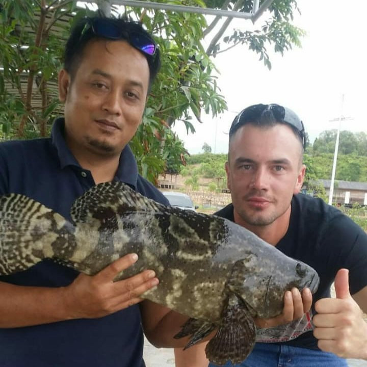 诺富特巴淡岛酒店主图