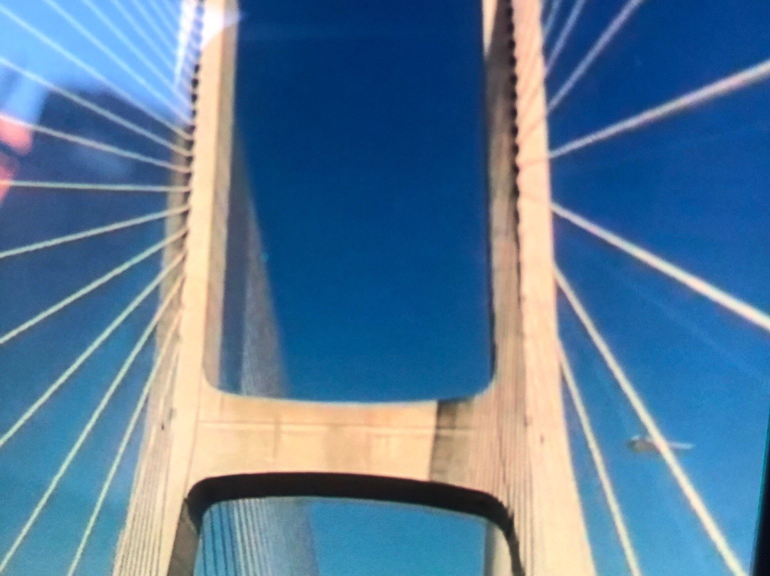 Ponte Vasco da Gama景点图片
