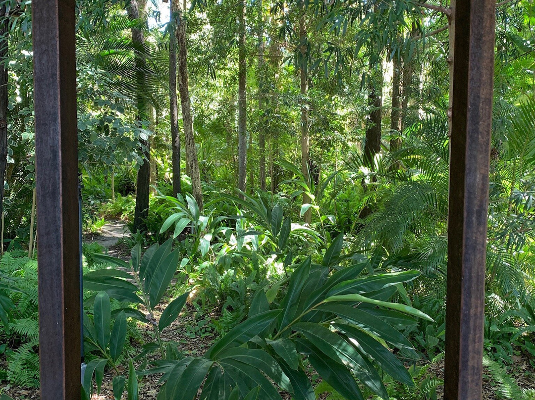 Hervey Bay Botanic Gardens景点图片