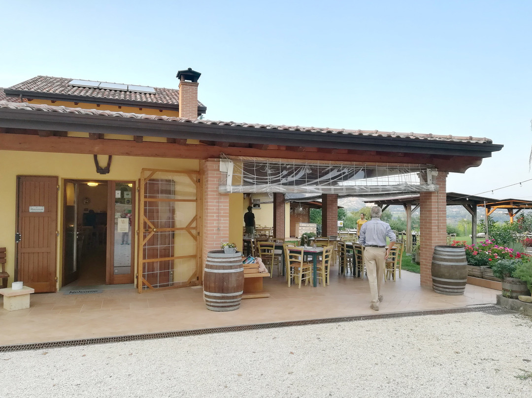 Agriturismo Il Gualdo di Sotto主图