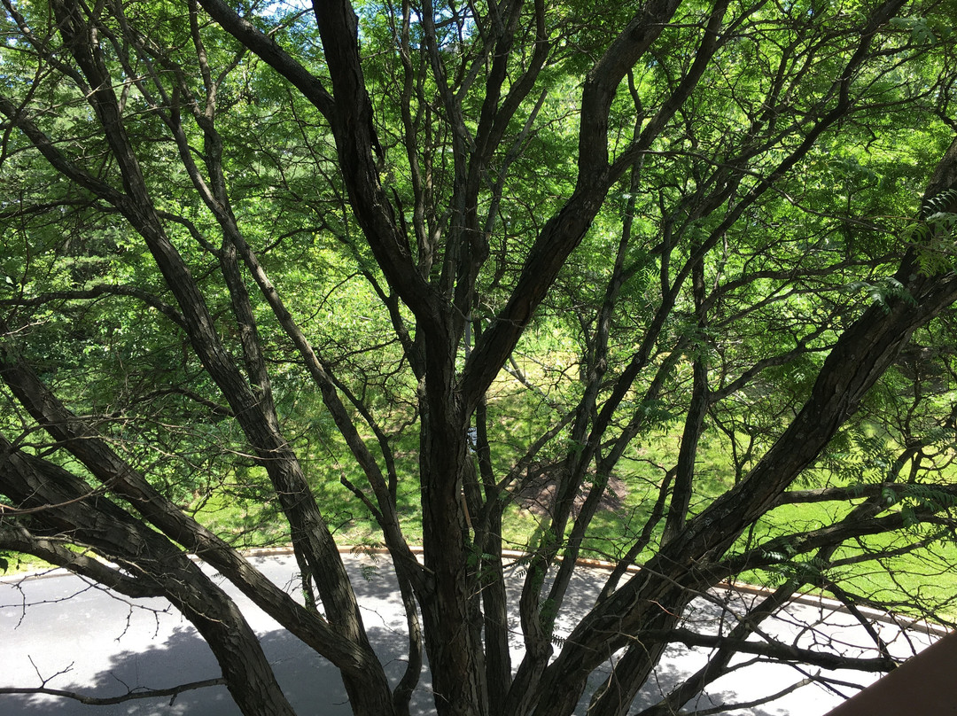 BWI机场红顶客栈主图