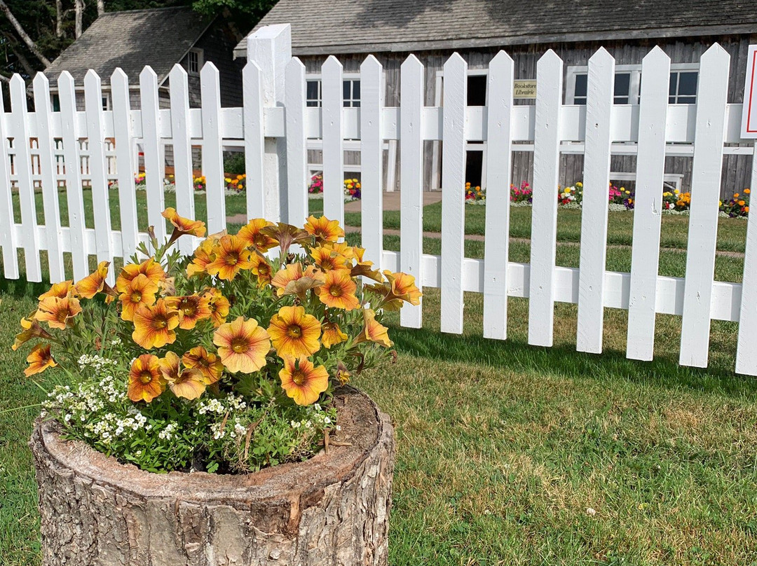 L.M. Montgomery's Cavendish National Historic Site of Canada-卡文迪西必去景点