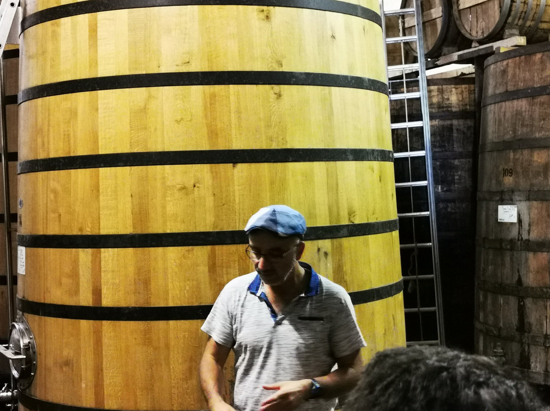 Vignoble Vincent景点图片