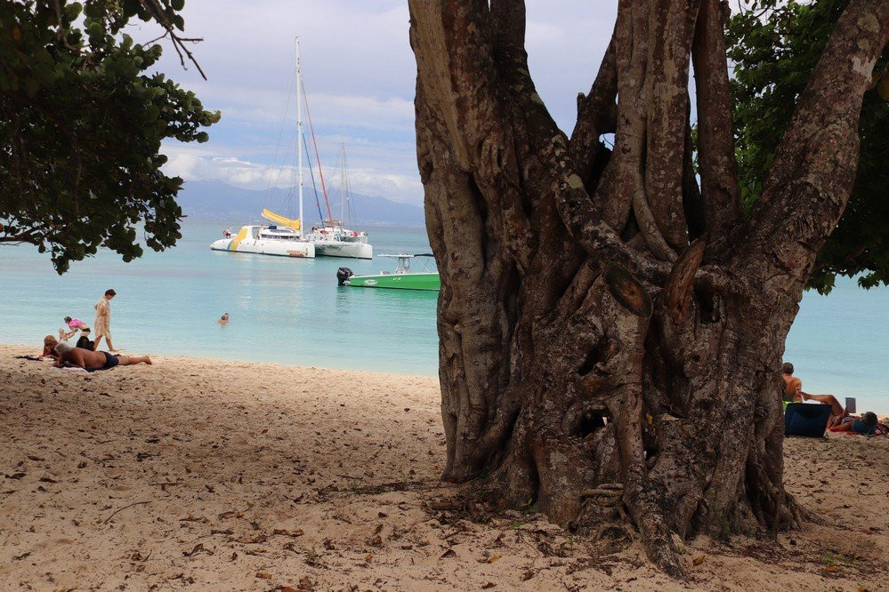 Anse Canot-Marie-Galante必去景点