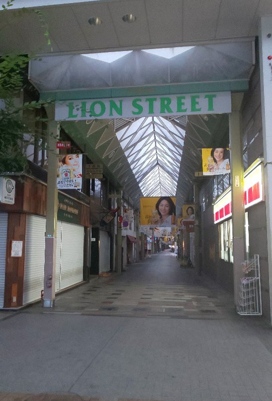 Takamatsu Lion Dori Shopping Street-高松市必去景点