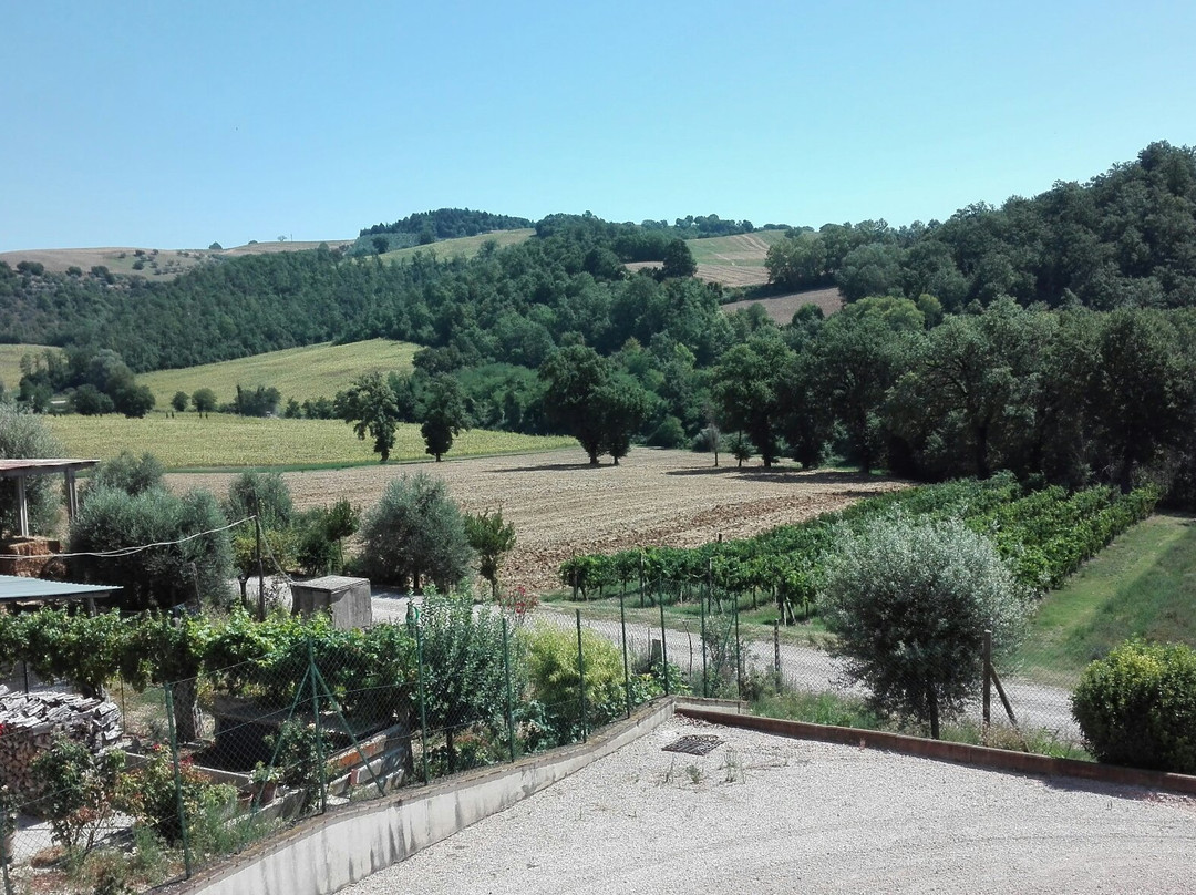 Agriturismo Ai Lecci主图