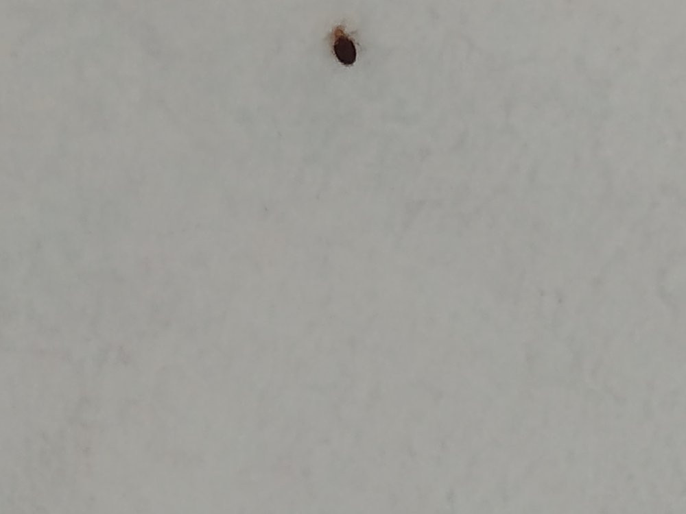 Hotel Villa Romanica主图