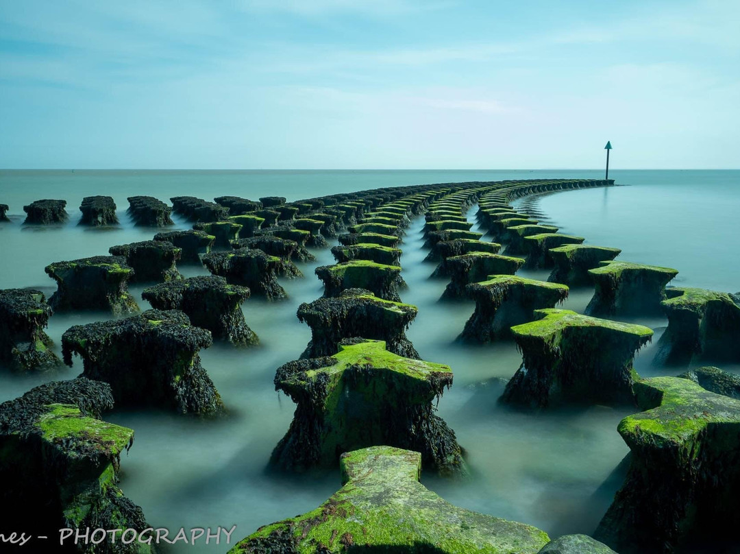 Justin Minns Photography景点图片