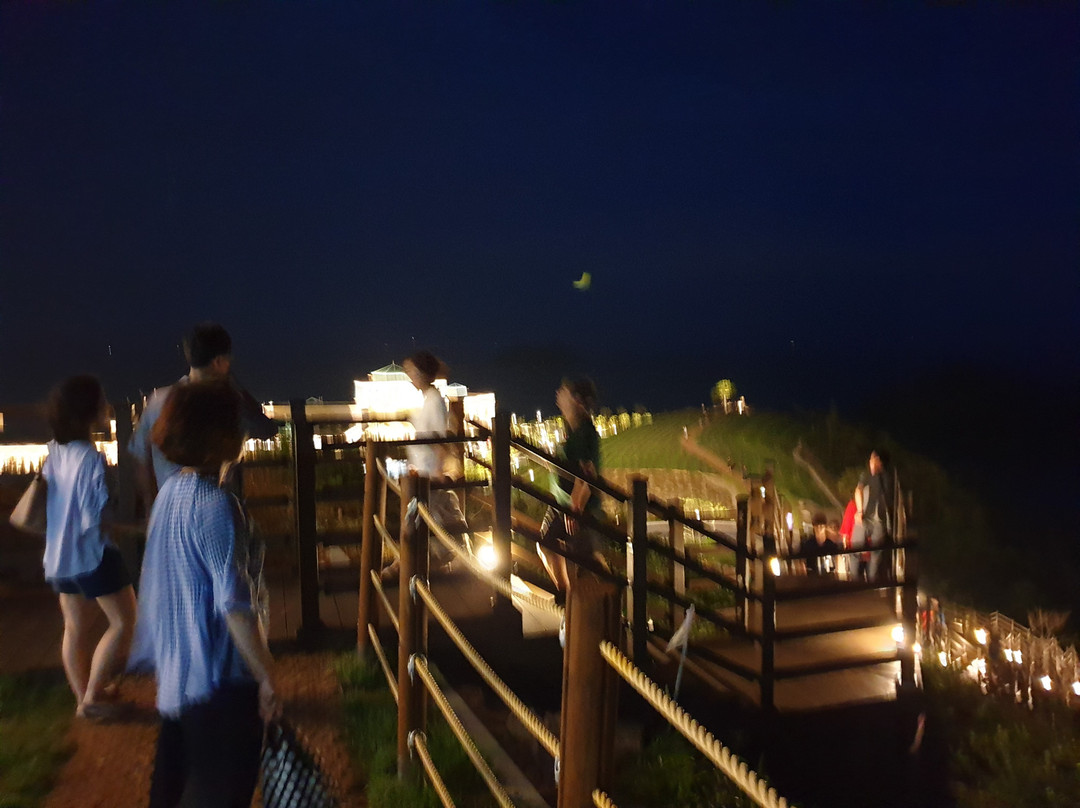 Sol Beach Hotel and Resort - Jindo主图