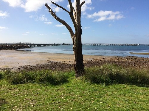 Woolley's Beach景点图片