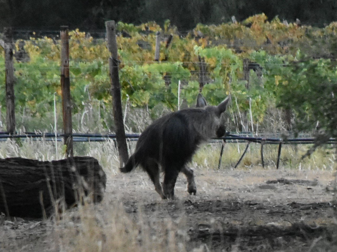 Kristall Kellerei-Omaruru必去景点