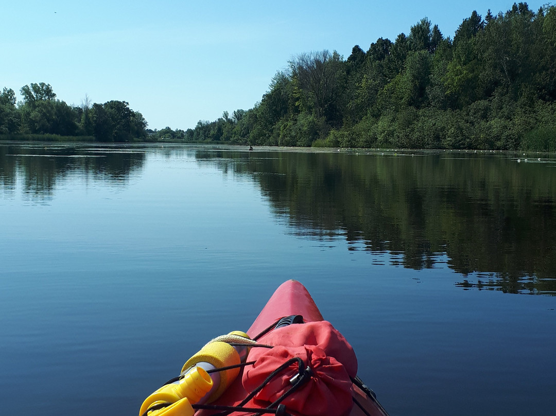 Drifters Outdoors Canoe & Kayak Rentals景点图片