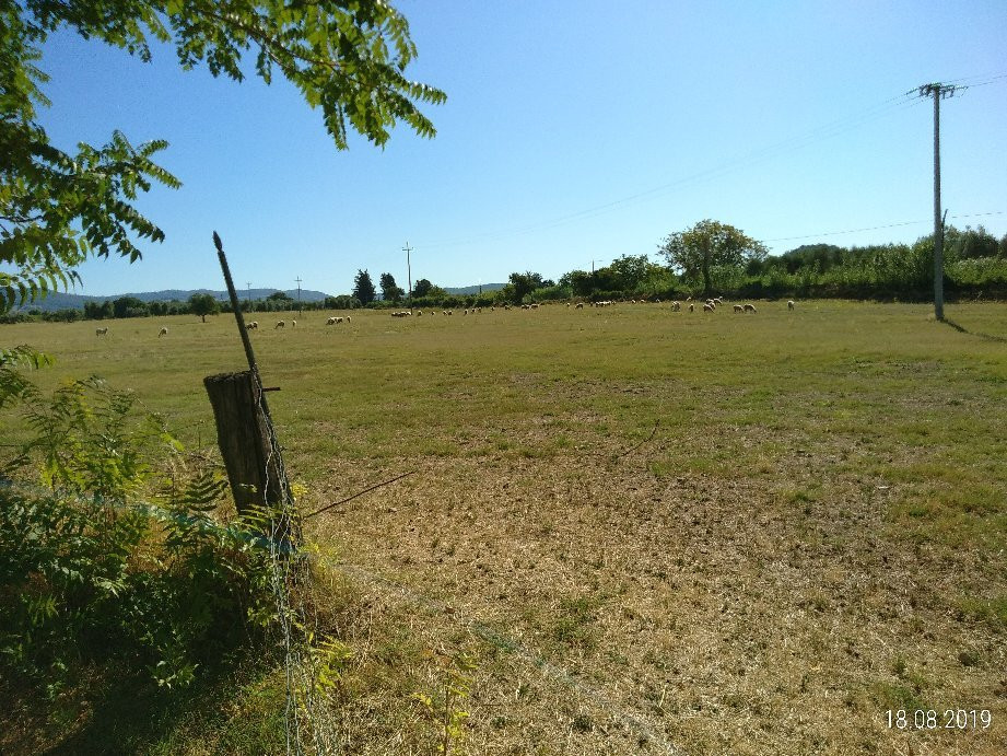 Agriturismo La Pellegrina主图