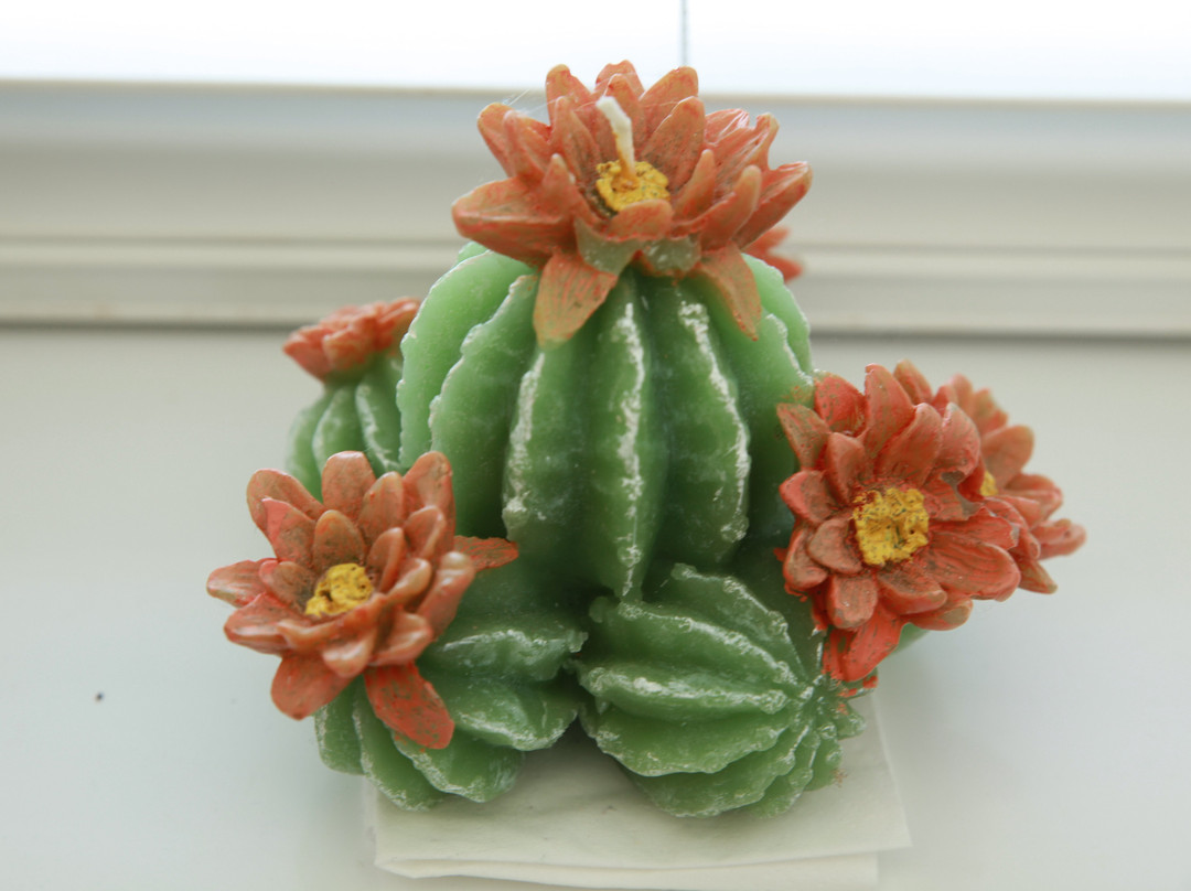 溪流庄园酒店主图