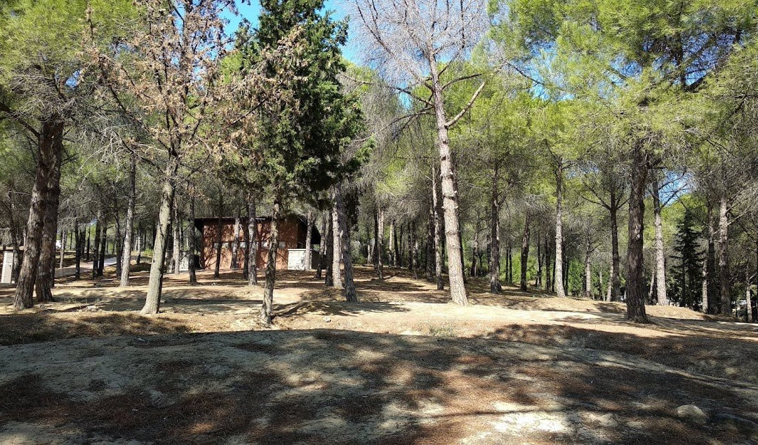 Kabatepe Kumsali景点图片