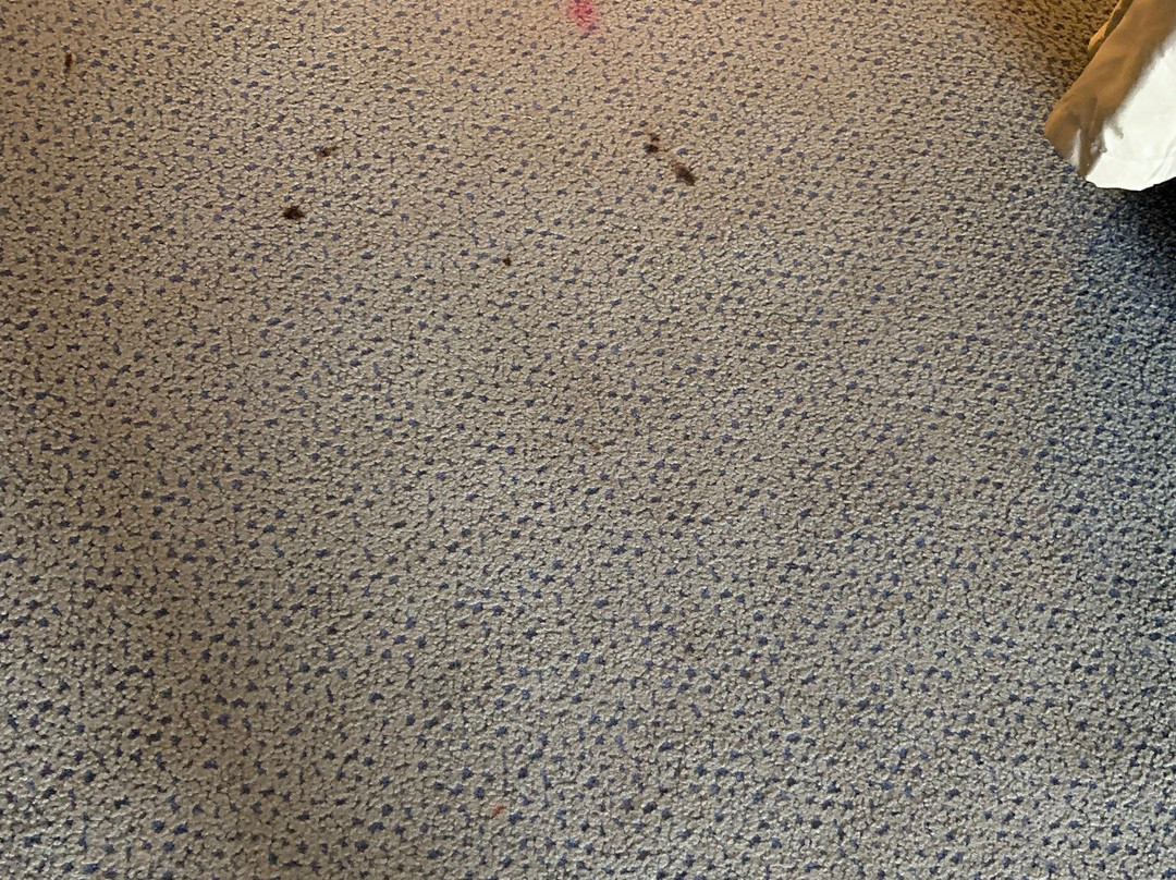 瓦恩兰温盖特温德姆酒店主图