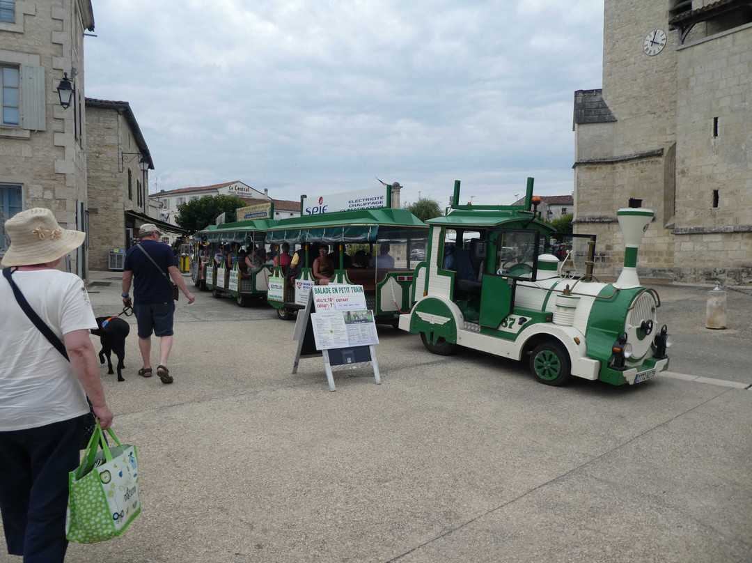 Le Petit Train du Marais Poitevin-Coulon必去景点