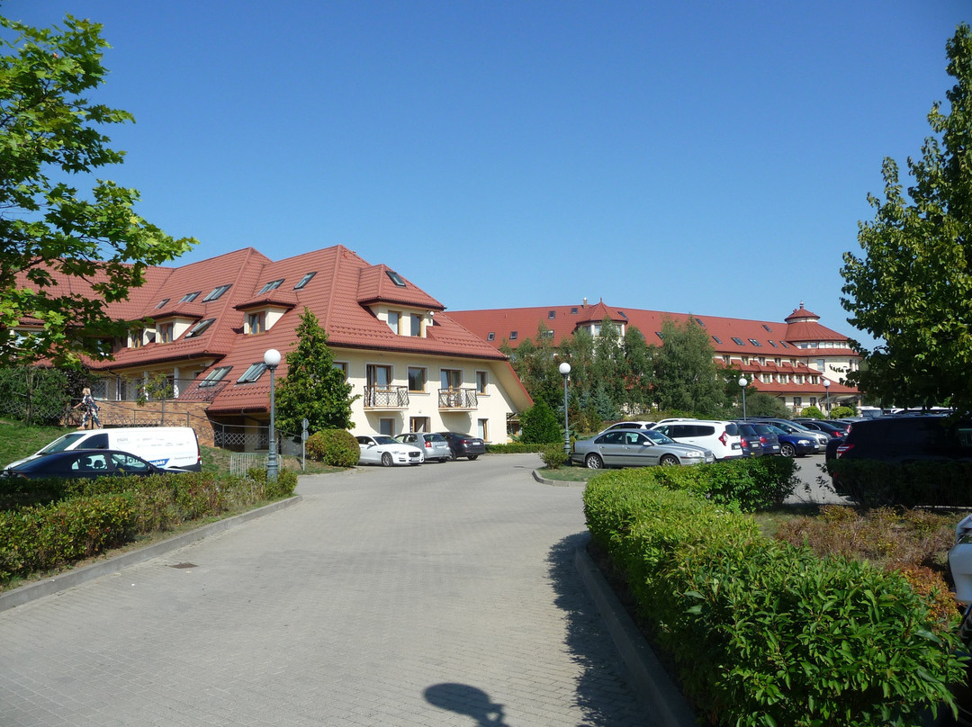 Hotel Ossa Conference & SPA主图