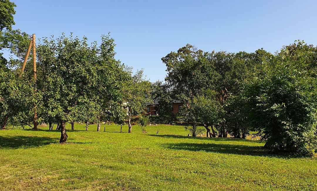 Sigulda Footbollgolf Park-锡古尔达必去景点
