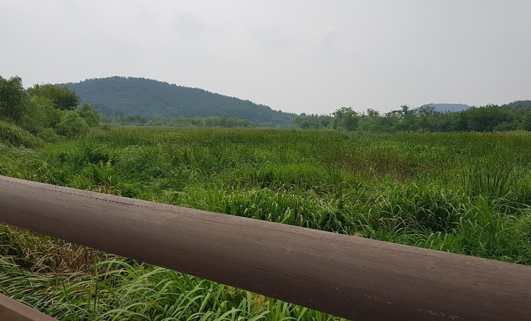 National Institute of Ecology-舒川郡必去景点