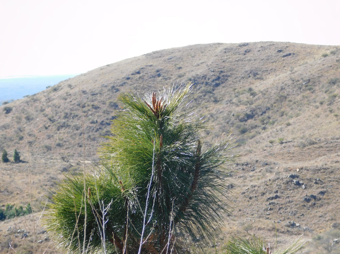 Estancia Altos del Durazno主图