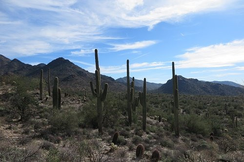 The Gateway Trailhead-斯科茨代尔必去景点
