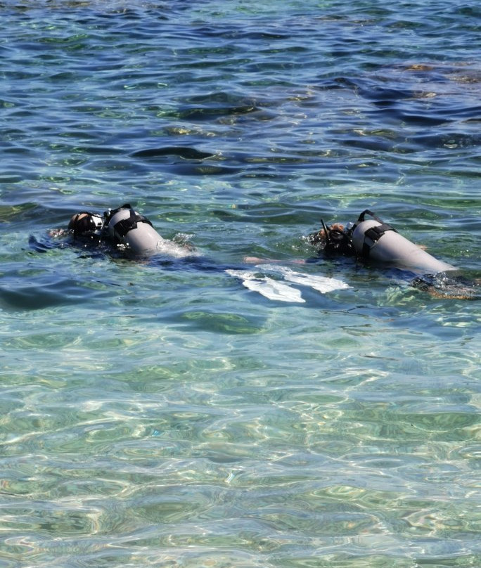 Bluforia Diving Center-Cala Gonone必去景点